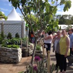 LAPN Food for Thought Garden wins Silver at Bloom