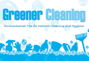 green cleanering guide cover